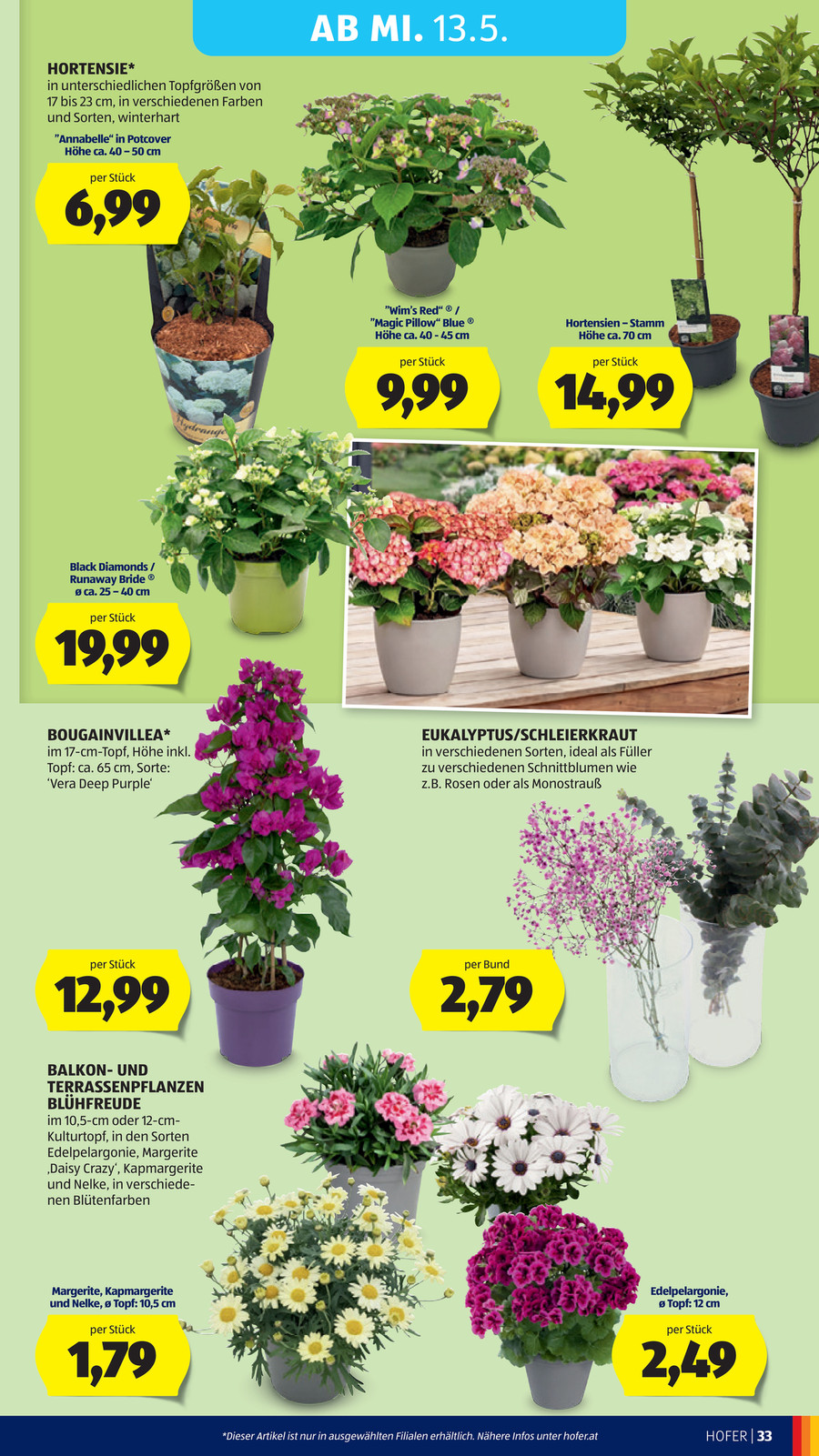 Hofer catalog page 39 — 2026-05-11 to 2026-05-16