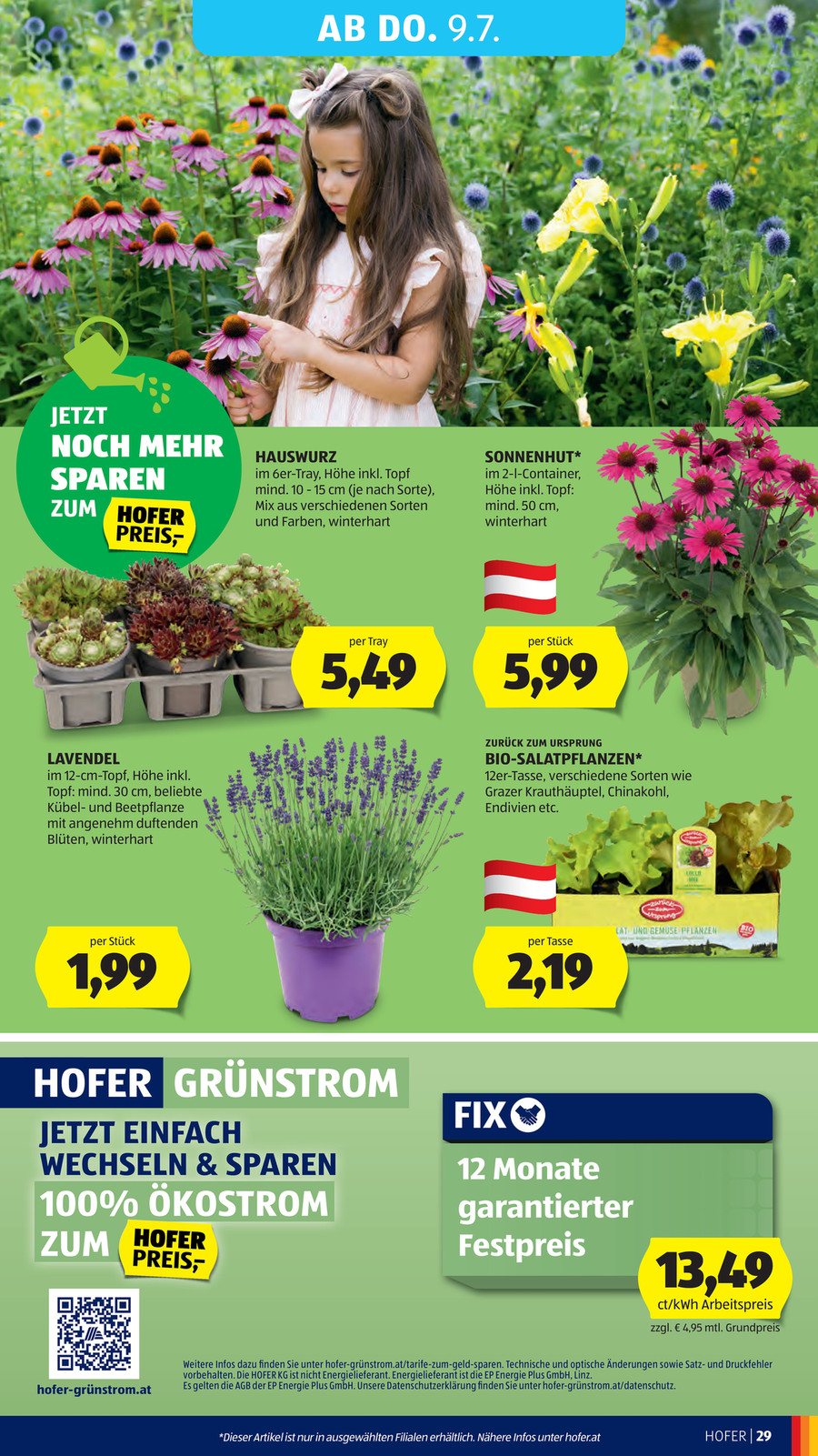 Hofer catalog page 35 — 2026-07-06 to 2026-07-11