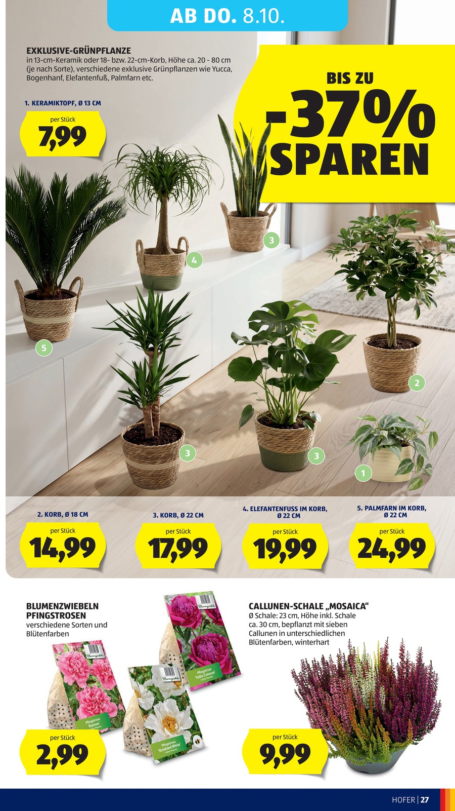 Hofer catalog page 37 — 2026-10-05 to 2026-10-10