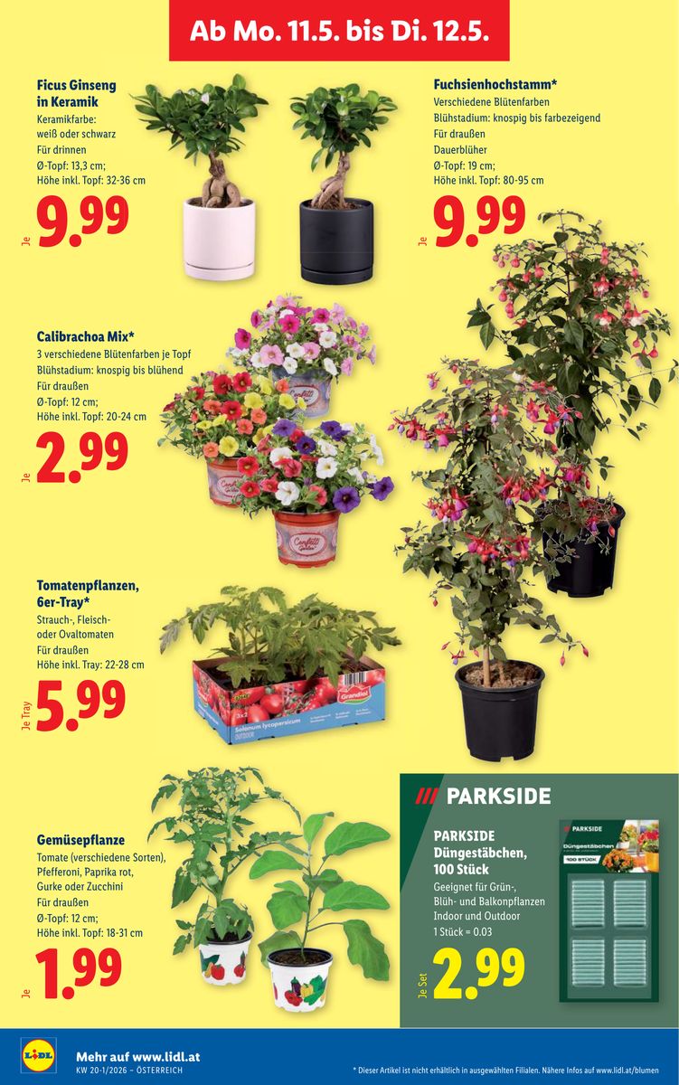 Lidl catalog page 31 — 2026-05-07 to 2026-05-13