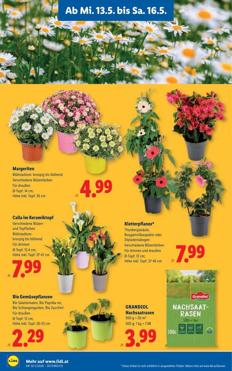 Lidl catalog page 30 — 2026-05-13 to 2026-05-20
