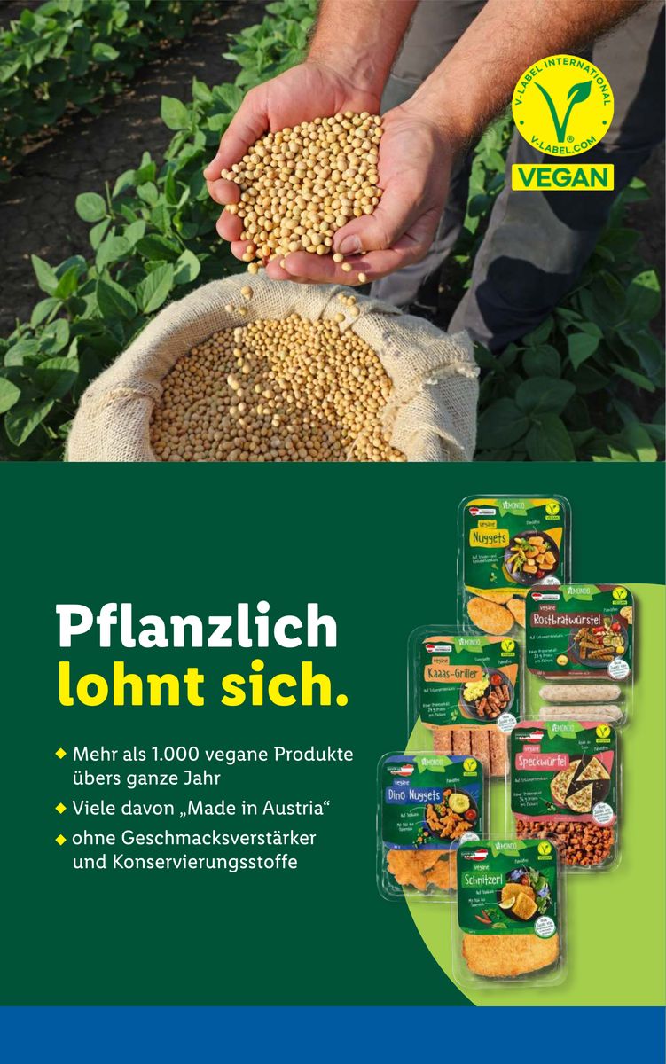 Lidl catalog page 48 — 2026-05-13 to 2026-05-20