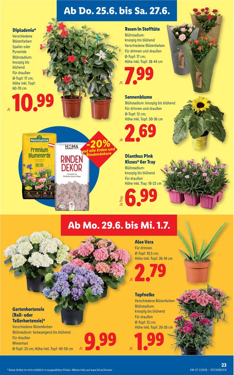 Lidl catalog page 27 — 2026-06-25 to 2026-07-01