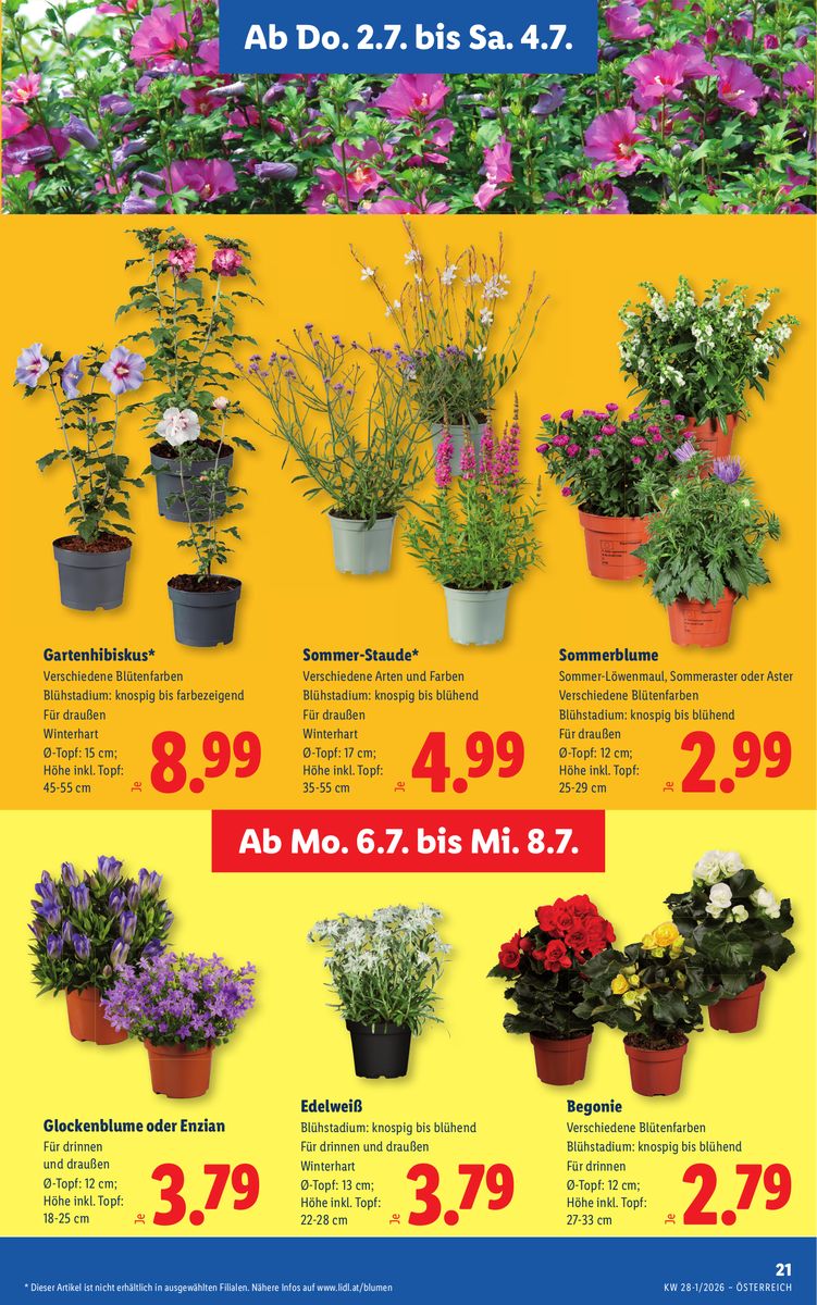 Lidl catalog page 25 — 2026-07-02 to 2026-07-08