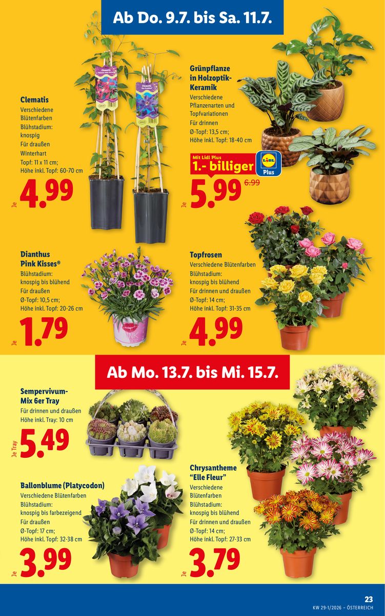 Lidl catalog page 27 — 2026-07-09 to 2026-07-15