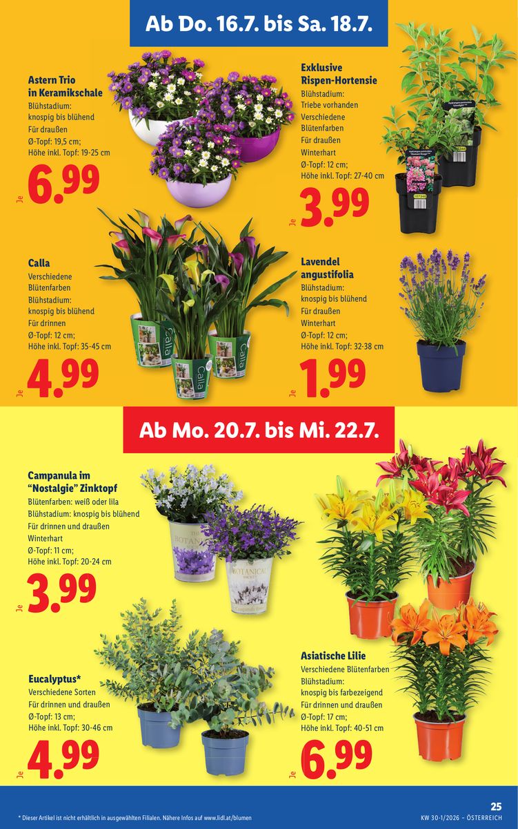 Lidl catalog page 29 — 2026-07-16 to 2026-07-22