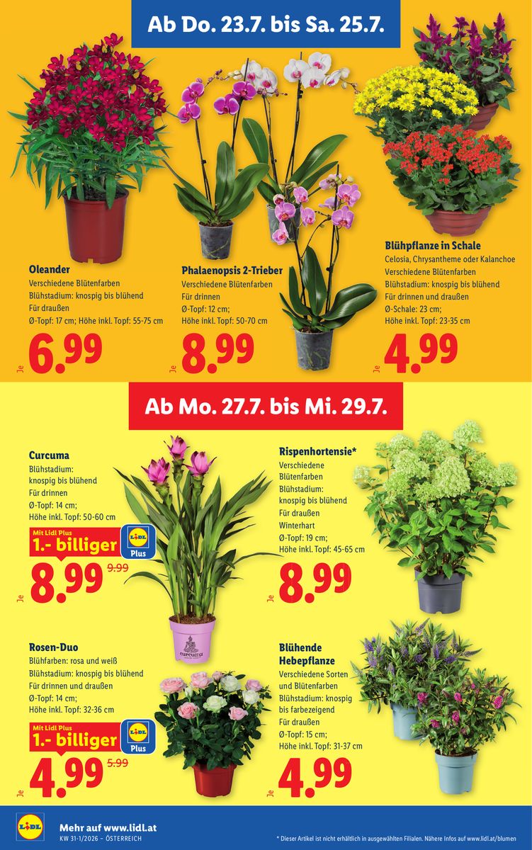 Lidl catalog page 30 — 2026-07-23 to 2026-07-29