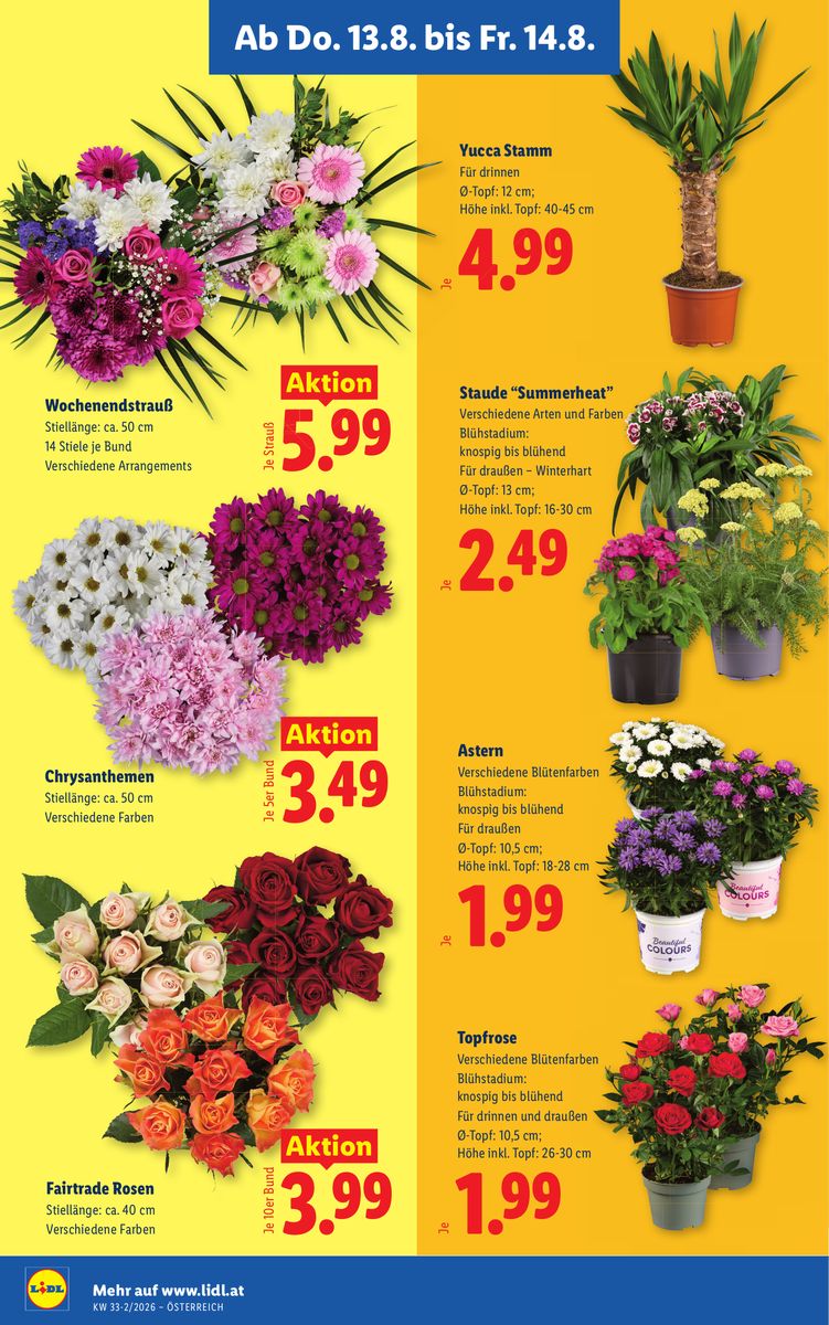 Lidl catalog page 26 — 2026-08-13 to 2026-08-19