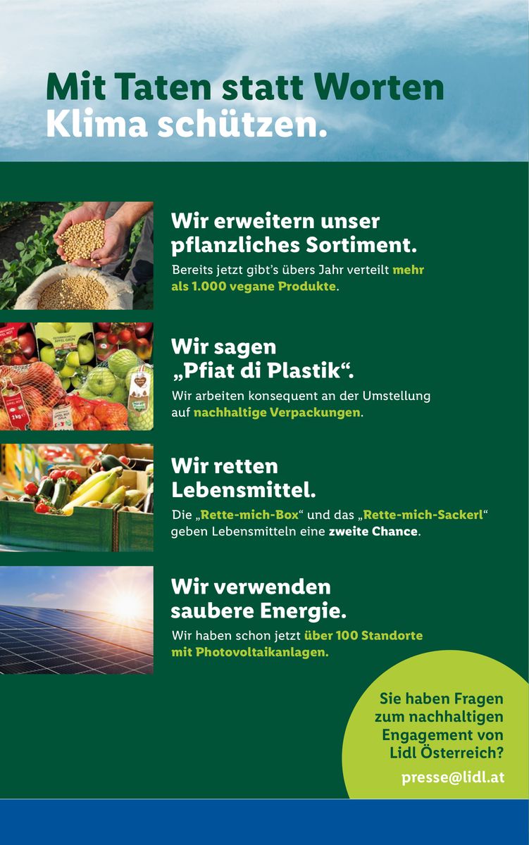 Lidl catalog page 49 — 2026-08-13 to 2026-08-19