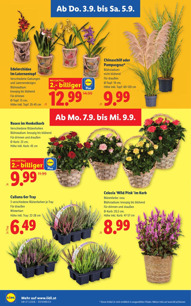 Lidl catalog page 28 — 2026-09-03 to 2026-09-09