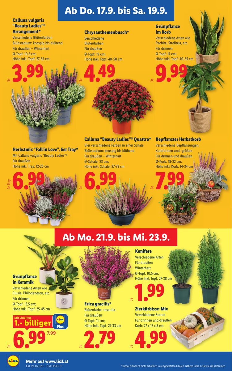 Lidl catalog page 28 — 2026-09-17 to 2026-09-23