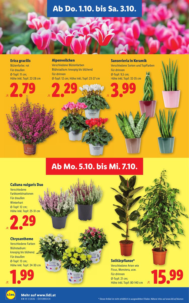 Lidl catalog page 30 — 2026-10-01 to 2026-10-07