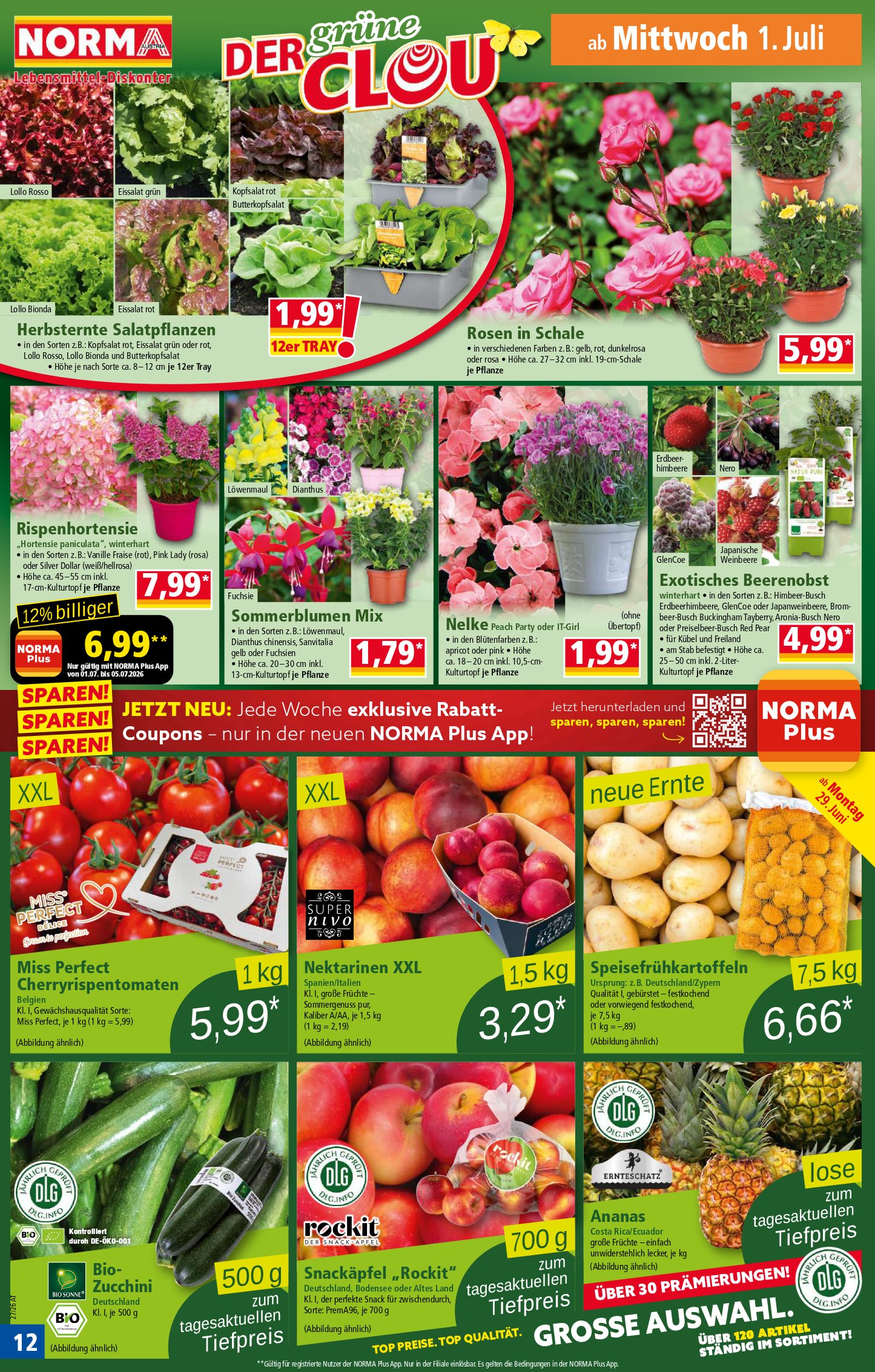 Norma catalog page 12 — 2026-06-29 to 2026-07-04