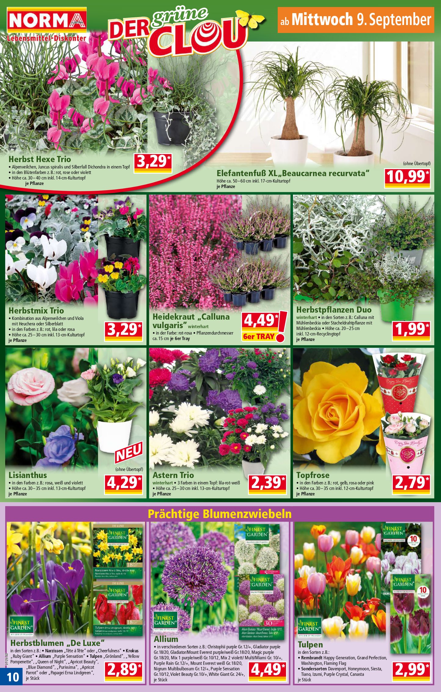 Norma catalog page 10 — 2026-09-07 to 2026-09-12