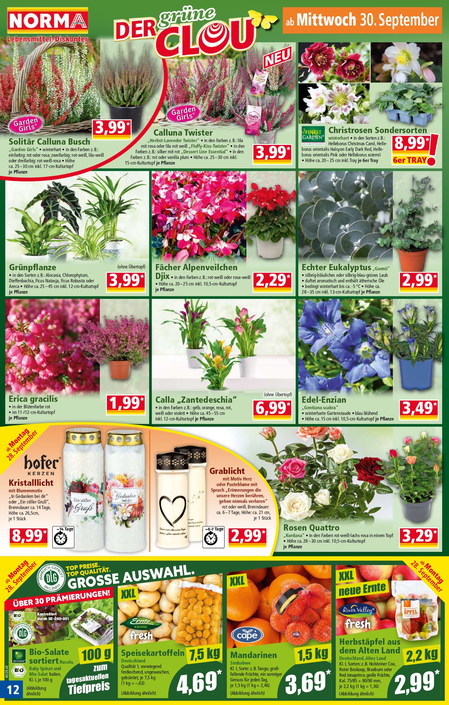 Norma catalog page 12 — 2026-09-28 to 2026-10-03