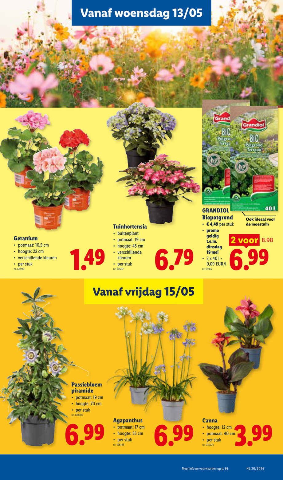 Lidl catalog page 21 — 2026-05-11 to 2026-05-16