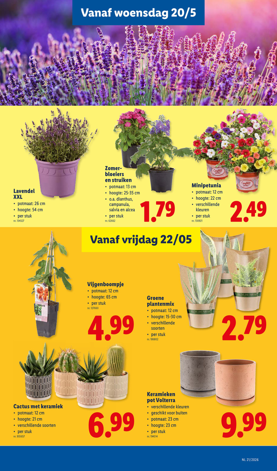 Lidl catalog page 23 — 2026-05-18 to 2026-05-23