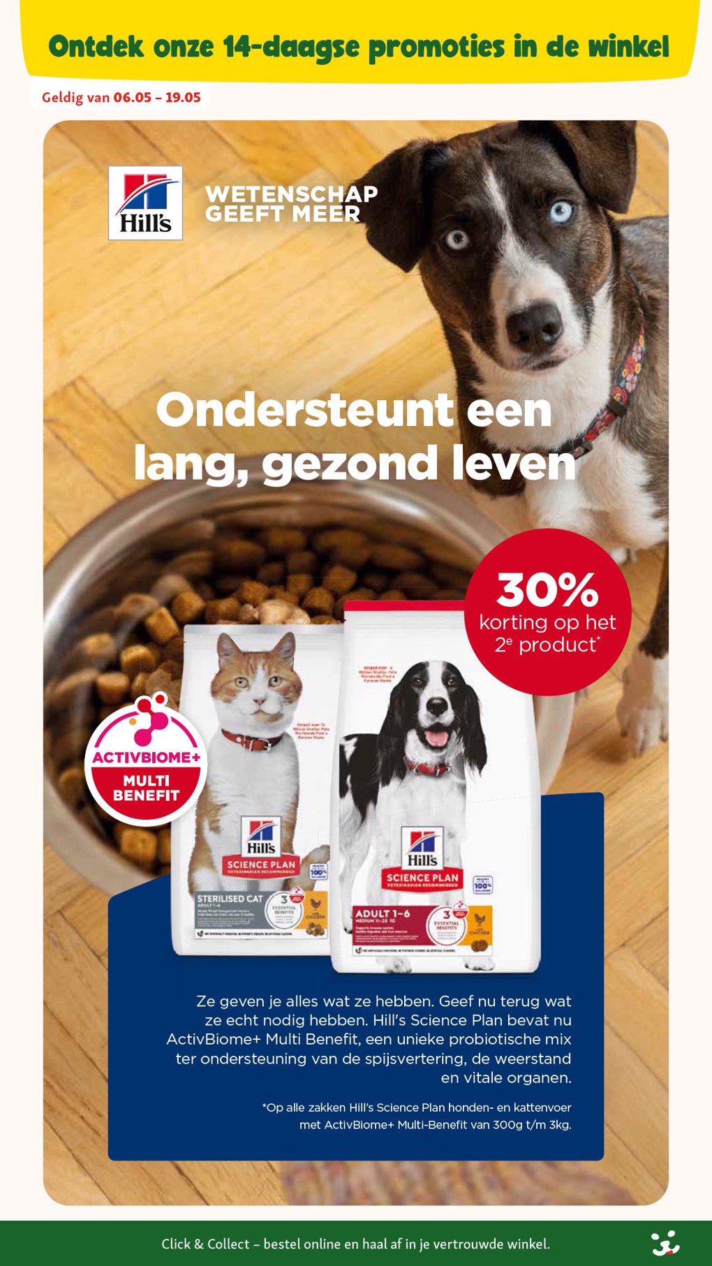 Maxi Zoo catalog page 6 — 2026-05-06 to 2026-06-02