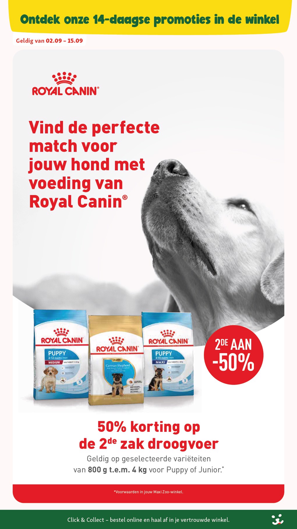 Maxi Zoo catalog page 7 — 2026-09-02 to 2026-10-06