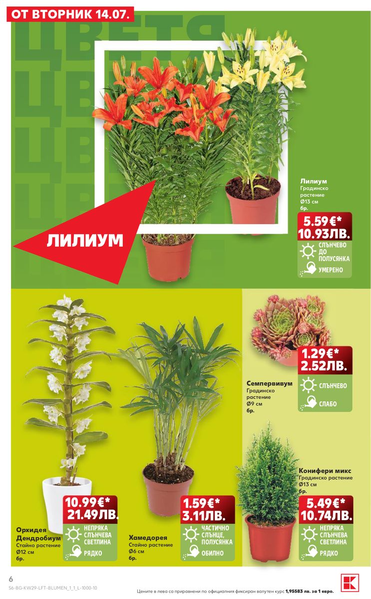 Kaufland catalog page 6 — 2026-07-13 to 2026-07-19