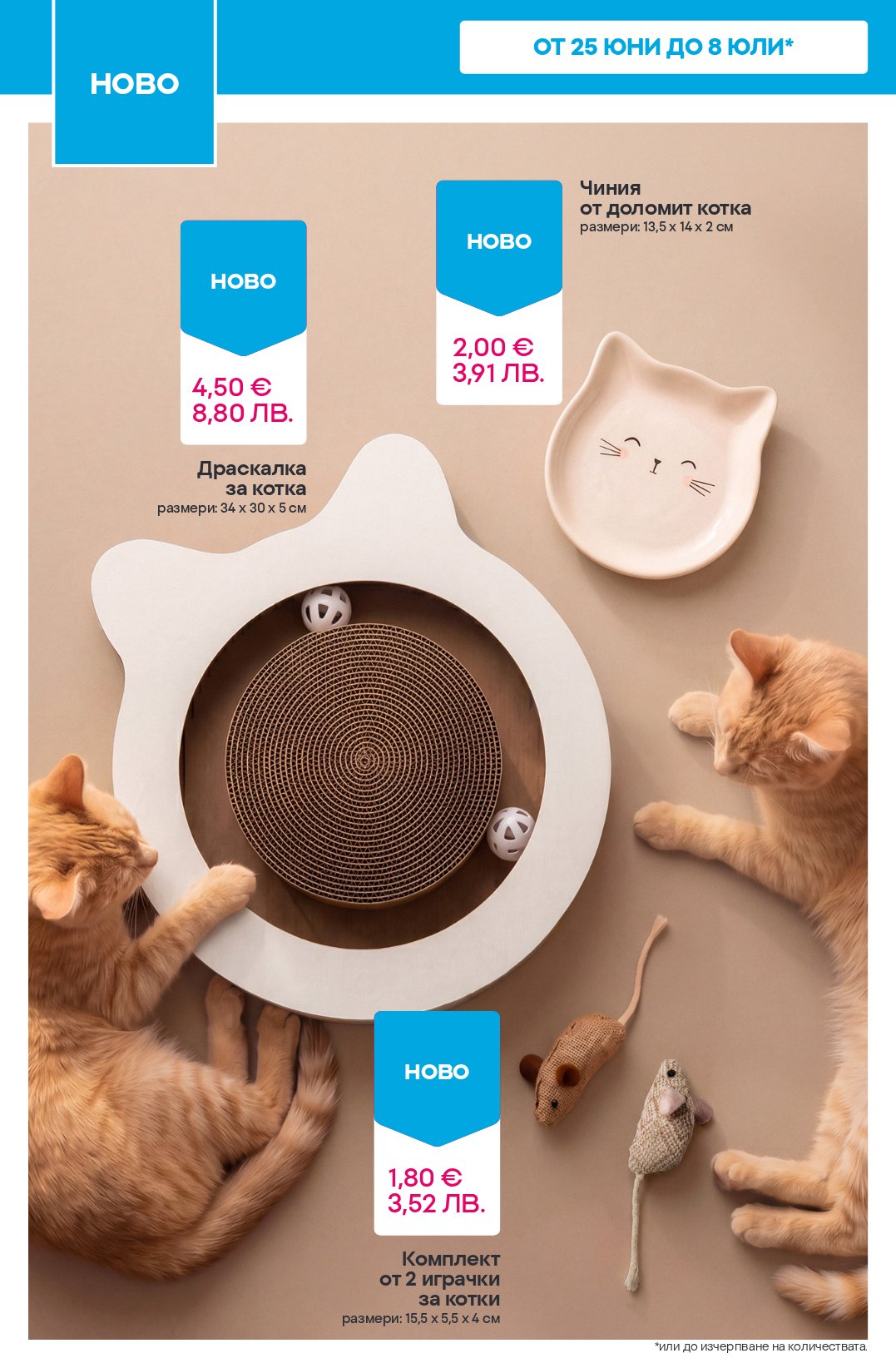 Pepco catalog page 6 — 2026-06-25 to 2026-07-01
