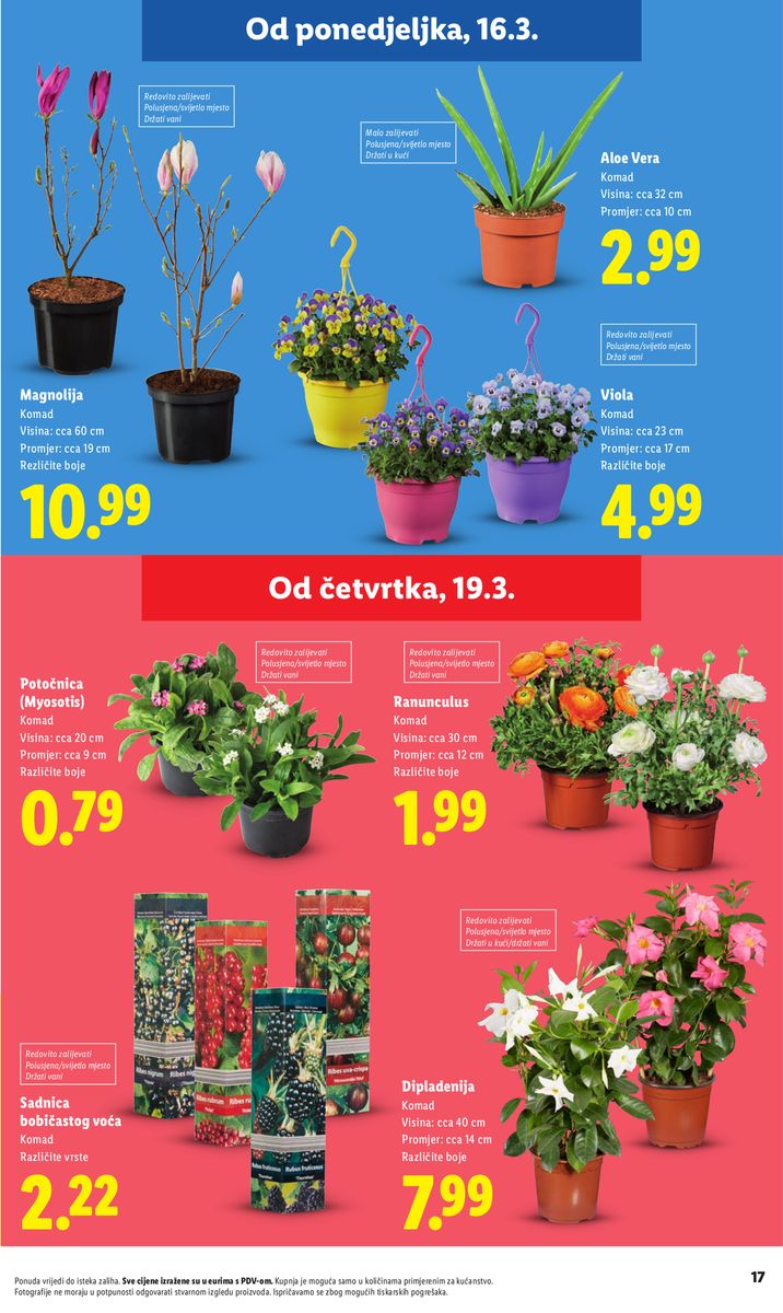 Lidl catalog page 17 — 2026-02-23 to 2026-07-01