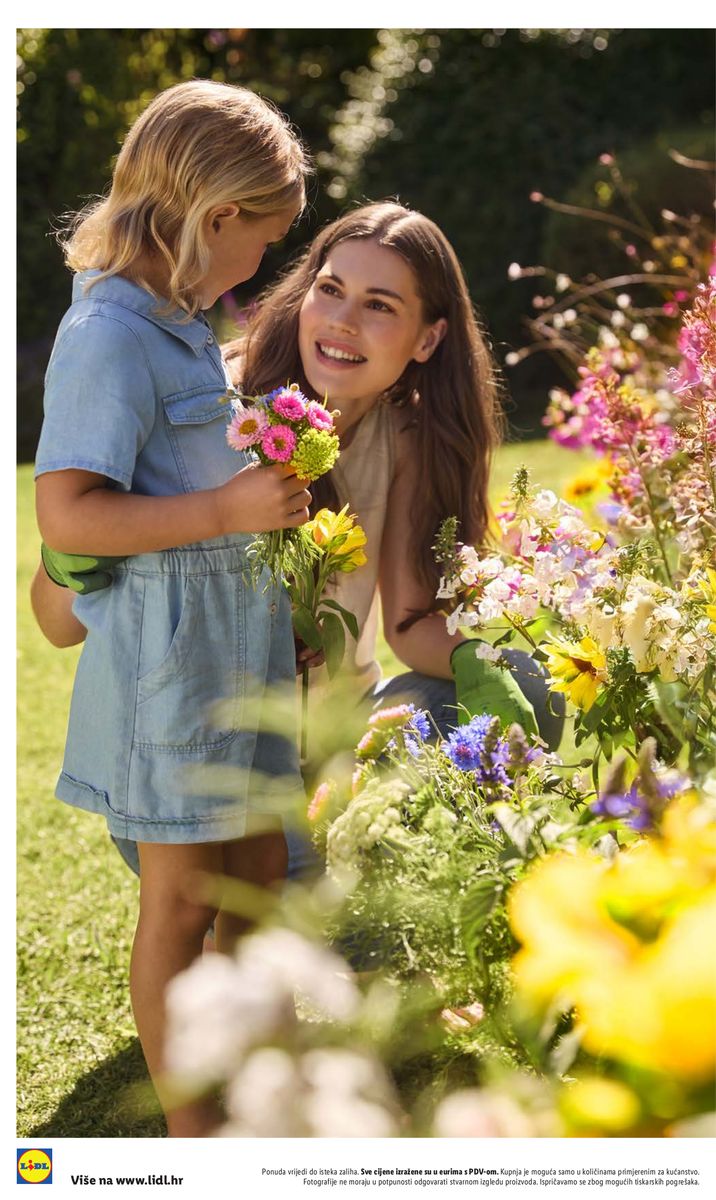 Lidl catalog page 22 — 2026-02-23 to 2026-07-01