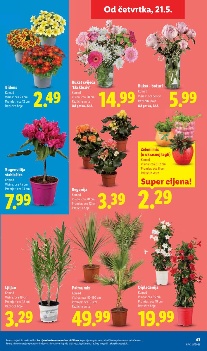 Lidl catalog page 43 — 2026-05-18 to 2026-05-24