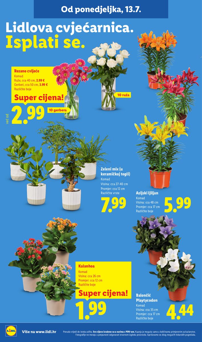Lidl catalog page 50 — 2026-07-13 to 2026-07-19