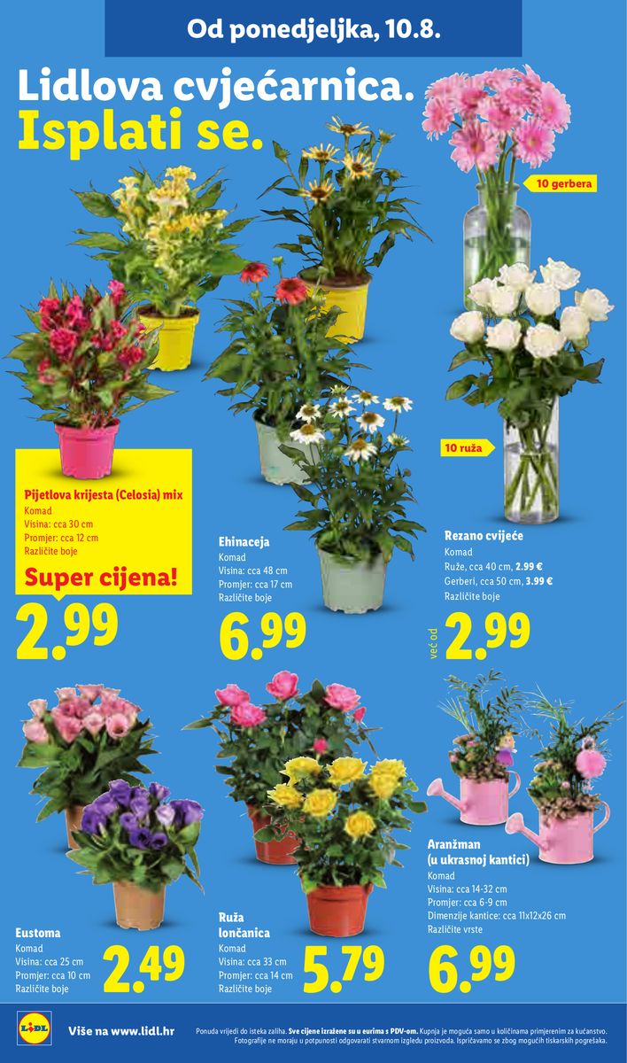 Lidl catalog page 50 — 2026-08-10 to 2026-08-16