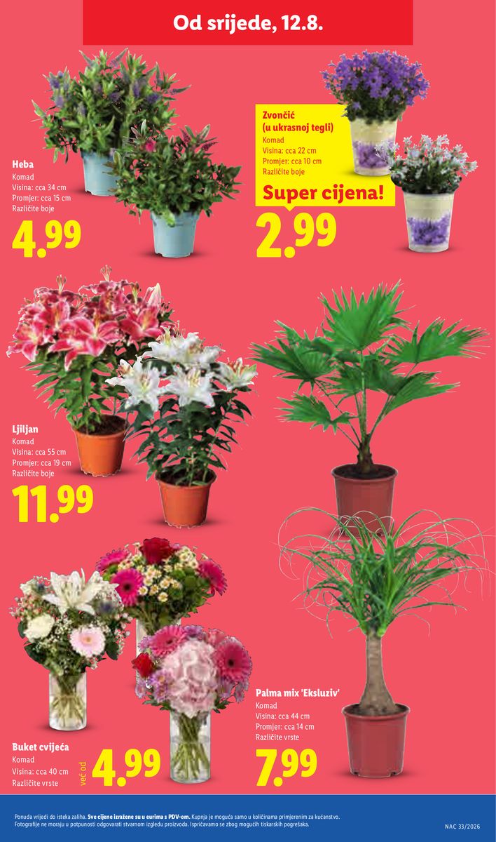 Lidl catalog page 51 — 2026-08-10 to 2026-08-16