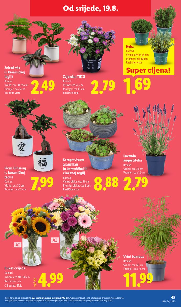 Lidl catalog page 45 — 2026-08-17 to 2026-08-23