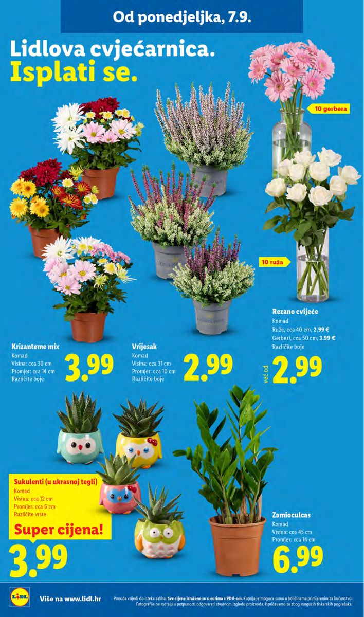 Lidl catalog page 60 — 2026-09-07 to 2026-09-13