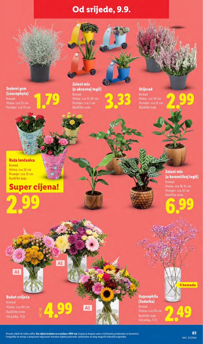 Lidl catalog page 61 — 2026-09-07 to 2026-09-13