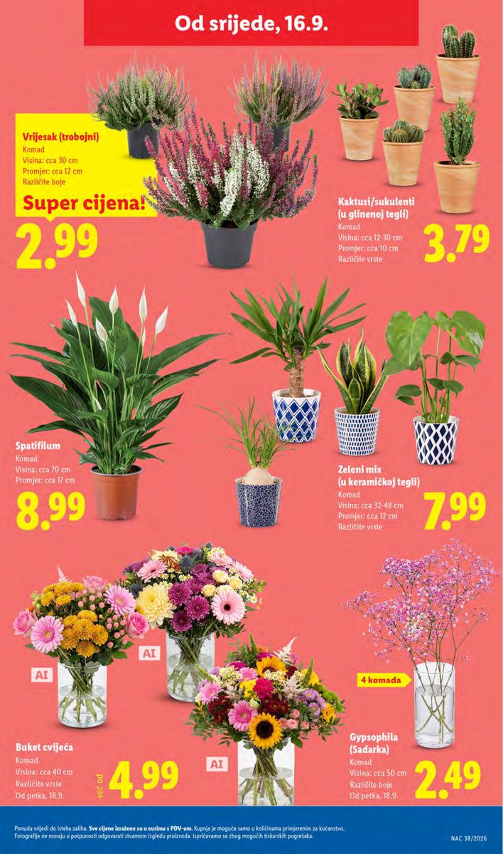 Lidl catalog page 53 — 2026-09-14 to 2026-09-20
