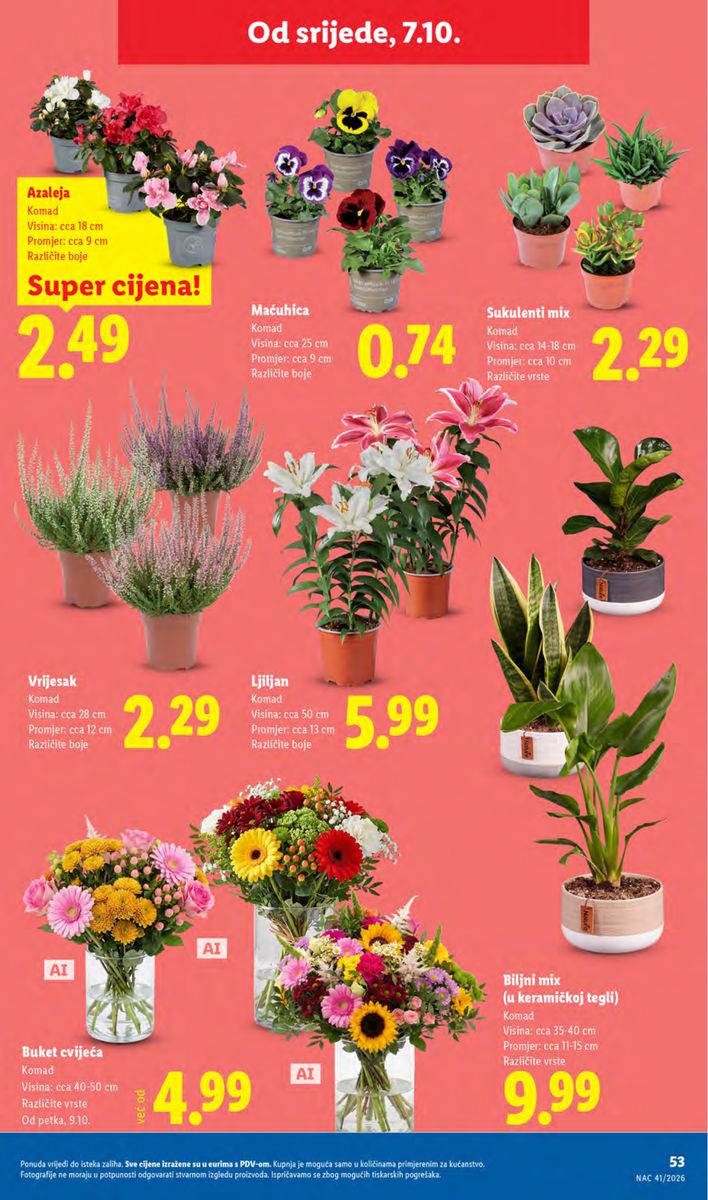 Lidl catalog page 53 — 2026-10-05 to 2026-10-11