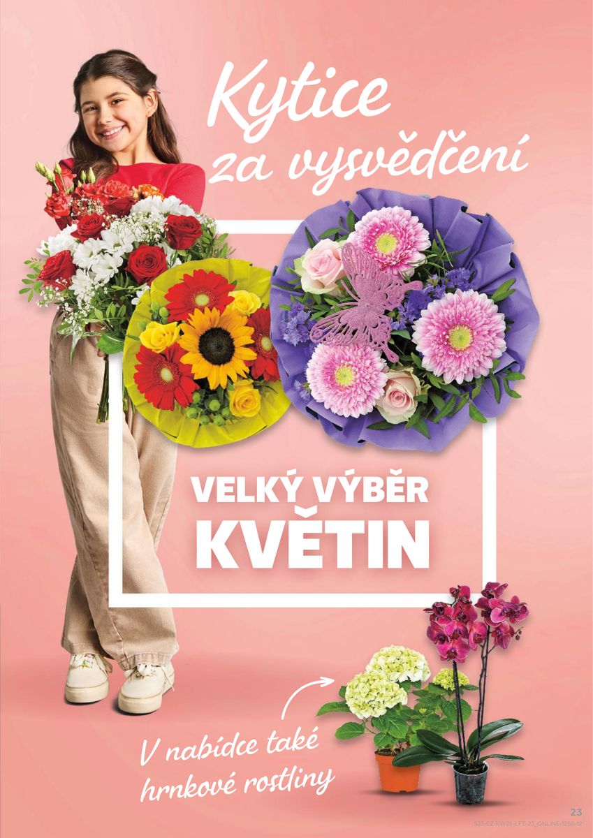 Kaufland catalog page 23 — 2026-06-24 to 2026-06-30