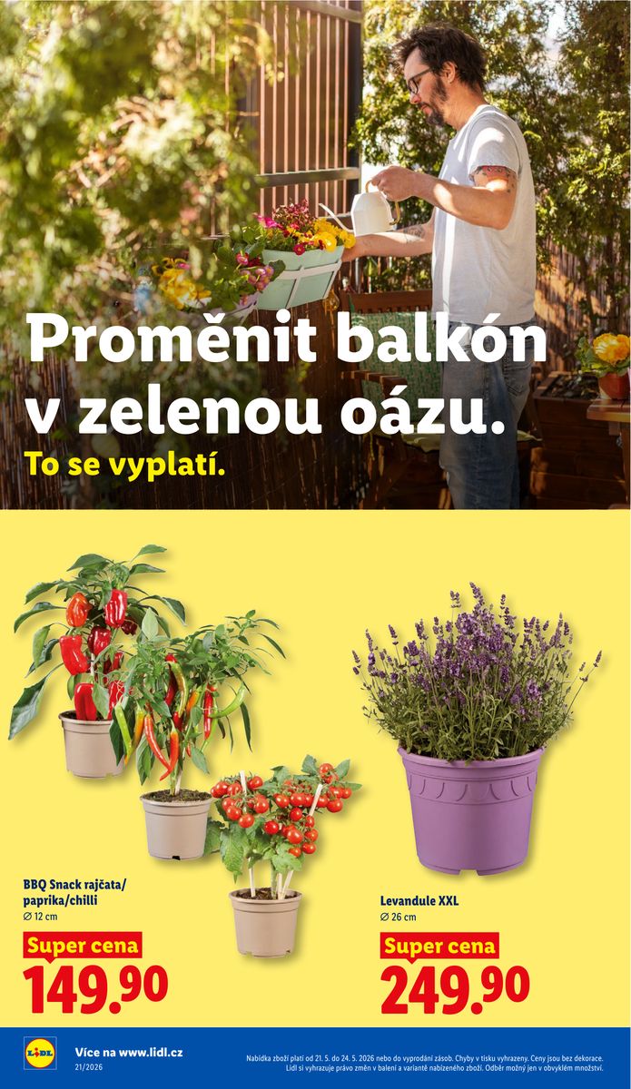 Lidl catalog page 34 — 2026-05-21 to 2026-05-24