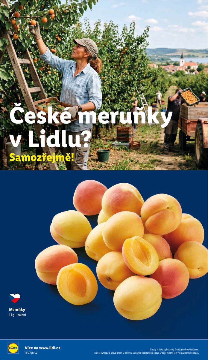Lidl catalog page 48 — 2026-07-02 to 2026-07-05