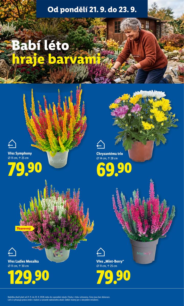 Lidl catalog page 13 — 2026-09-21 to 2026-09-23