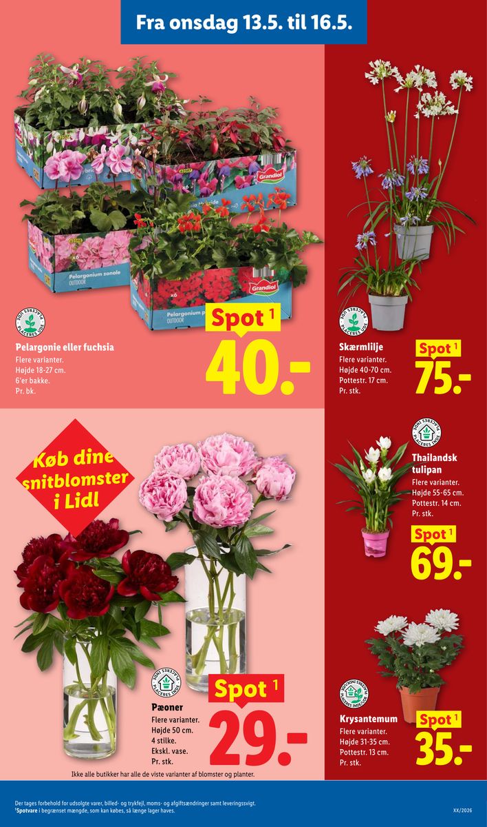 Lidl catalog page 6 — 2026-05-10 to 2026-05-16