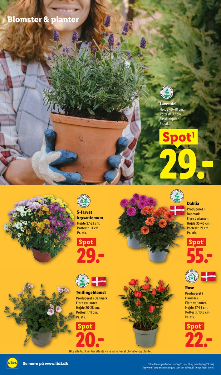 Lidl catalog page 33 — 2026-05-17 to 2026-05-23