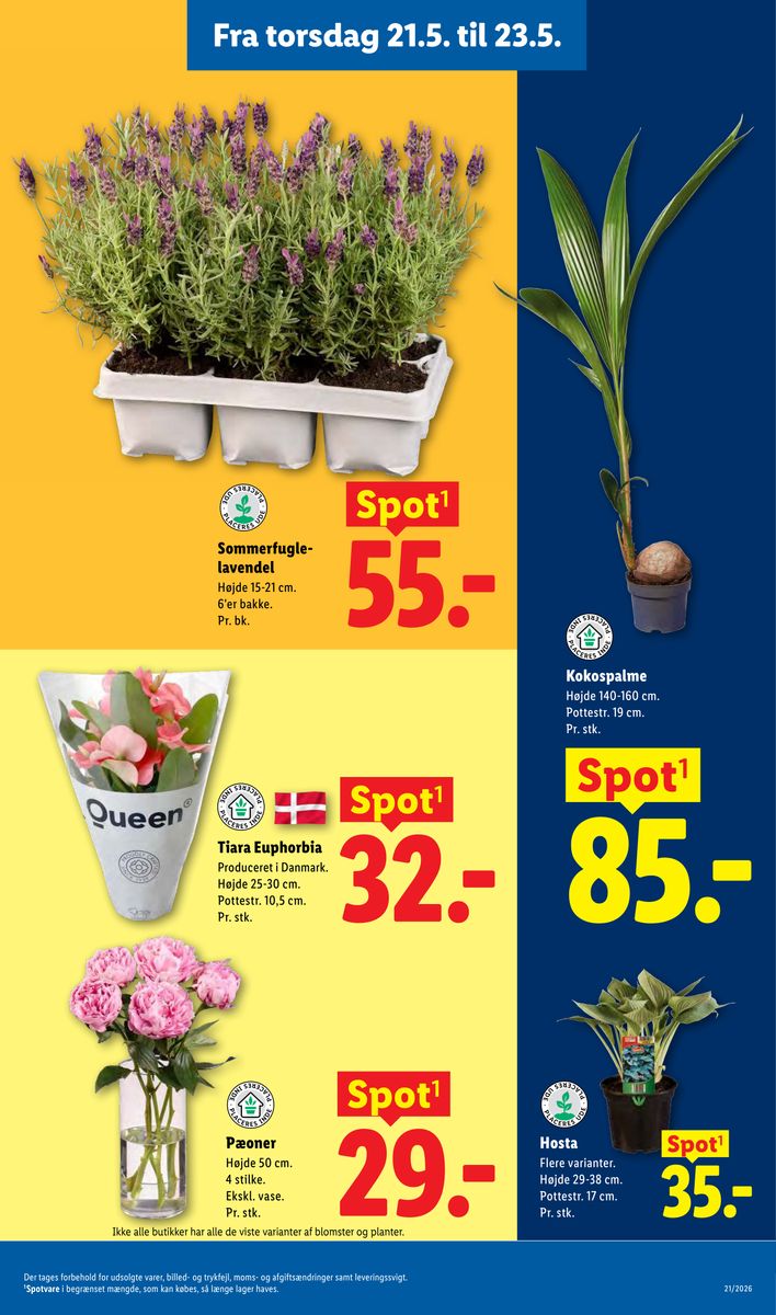 Lidl catalog page 34 — 2026-05-17 to 2026-05-23