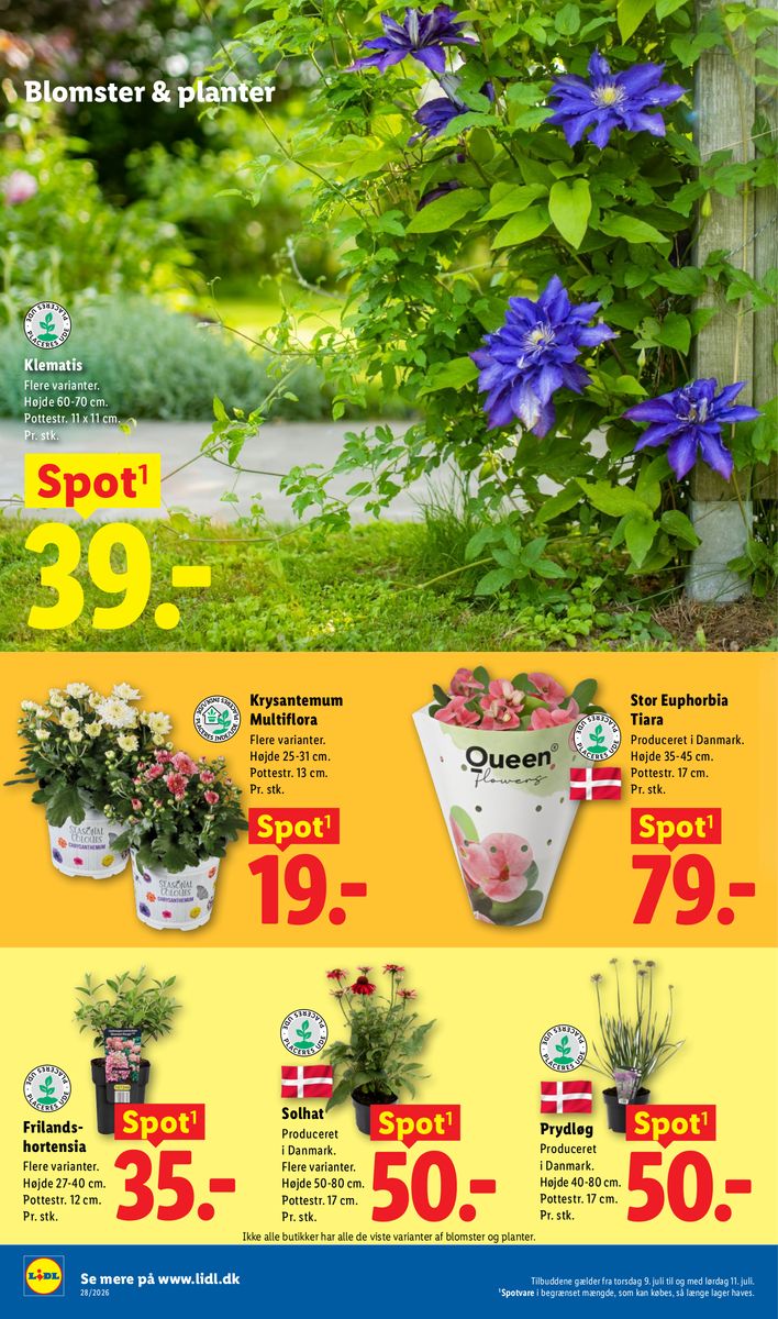 Lidl catalog page 37 — 2026-07-05 to 2026-07-11