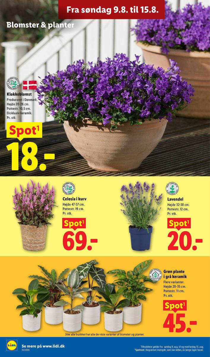 Lidl catalog page 35 — 2026-08-09 to 2026-08-15