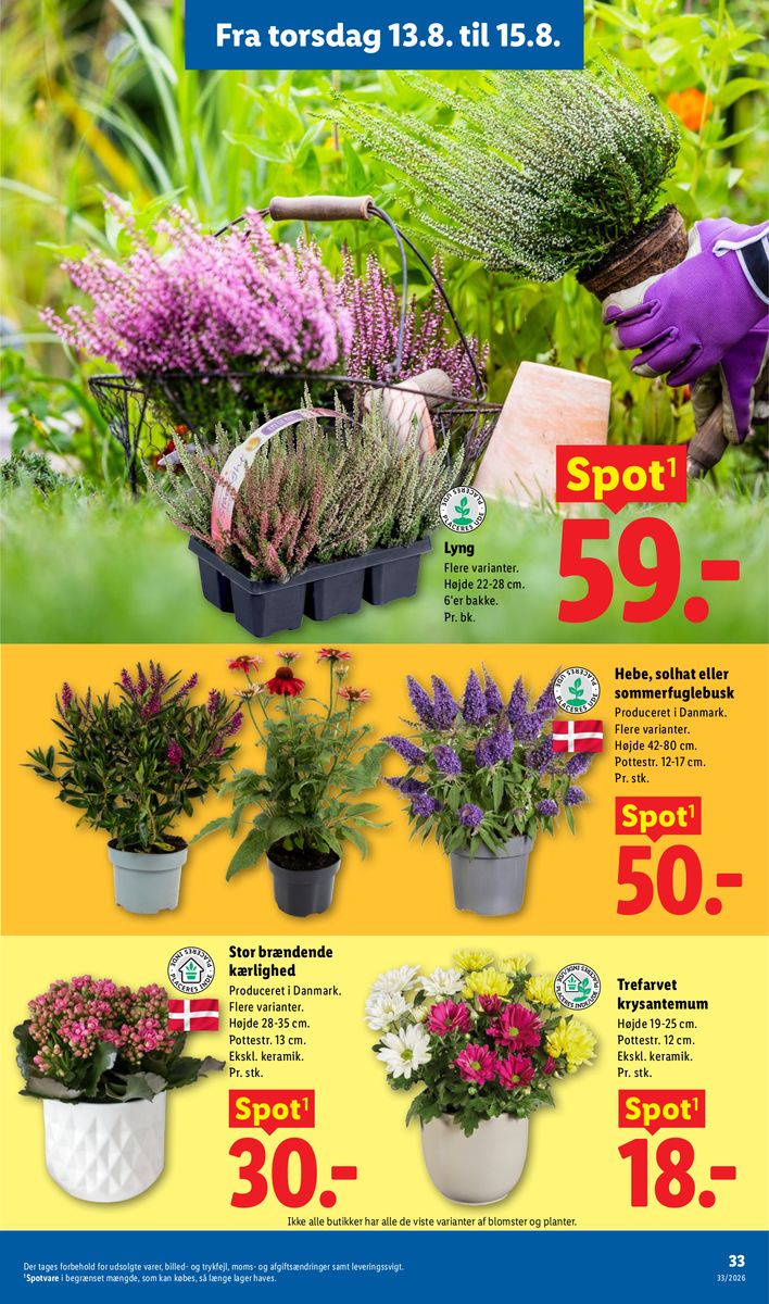 Lidl catalog page 36 — 2026-08-09 to 2026-08-15