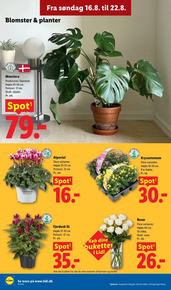 Lidl catalog page 34 — 2026-08-16 to 2026-08-22