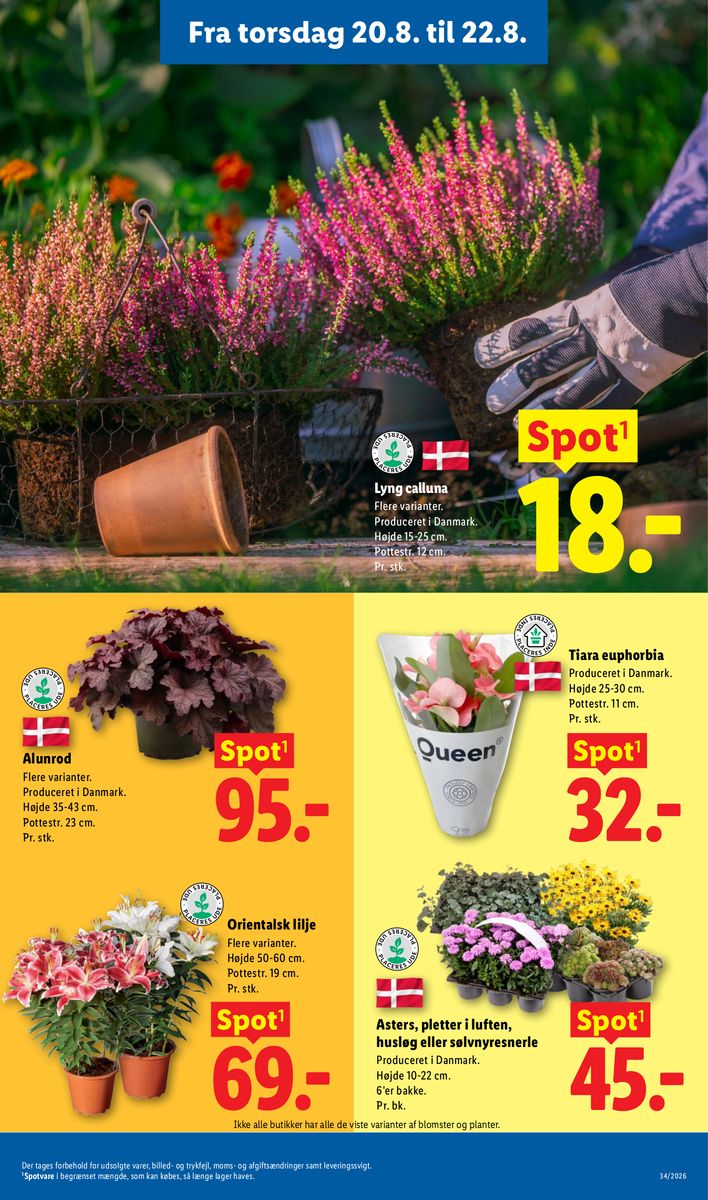 Lidl catalog page 35 — 2026-08-16 to 2026-08-22