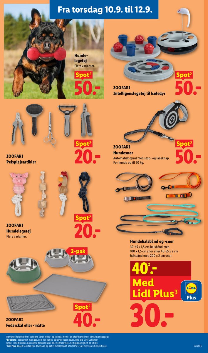 Lidl catalog page 31 — 2026-09-06 to 2026-09-12