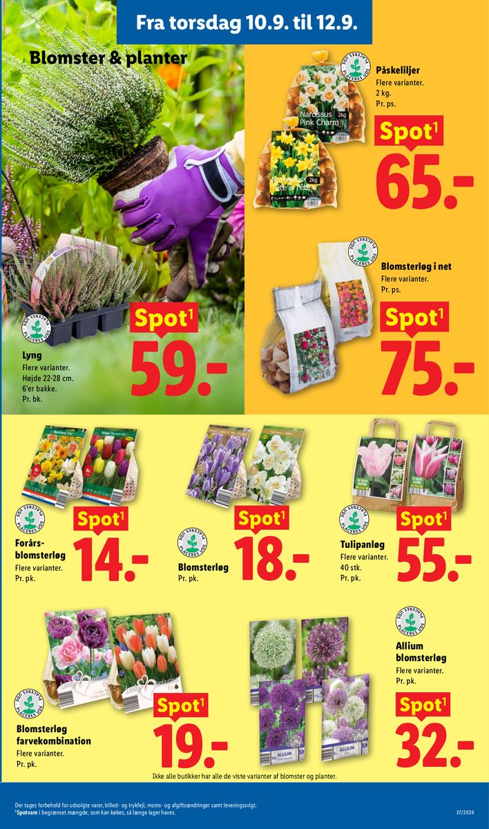 Lidl catalog page 33 — 2026-09-06 to 2026-09-12